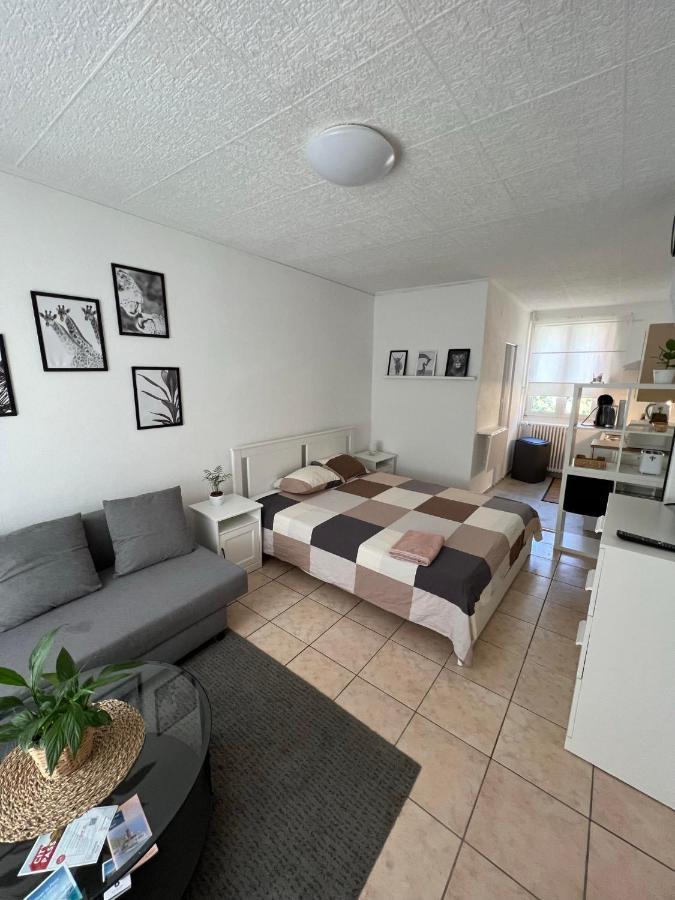 Appartement Appt 4 Recientemente Renovado à Lausanne Extérieur photo